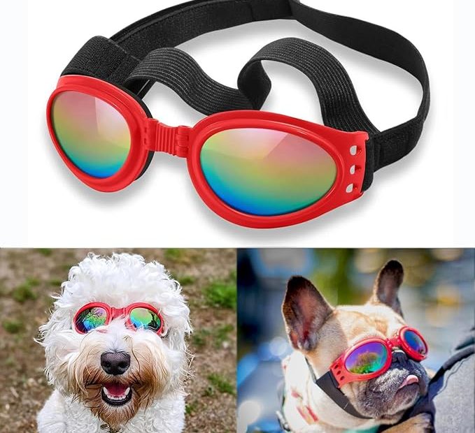 Qumy Dog Sunglasses For Medium/large Breed Dogs